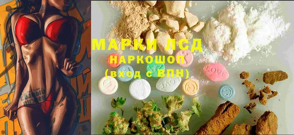 стафф Козельск