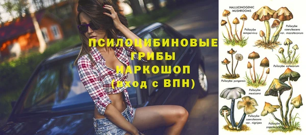 тгк Костерёво