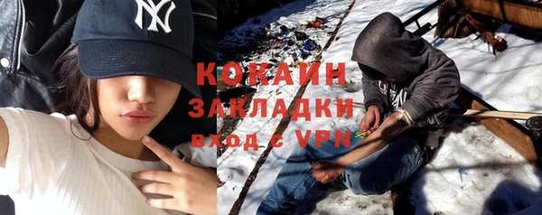 соль ск Козловка