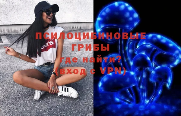 соль ск Козловка