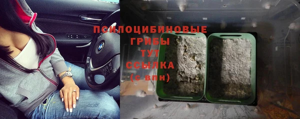 apvp Кодинск
