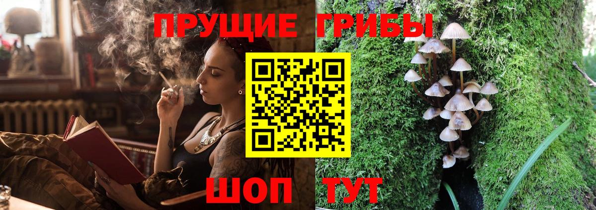 Клин  Галлюциногенные грибы Psilocybe  Вход с VPN 