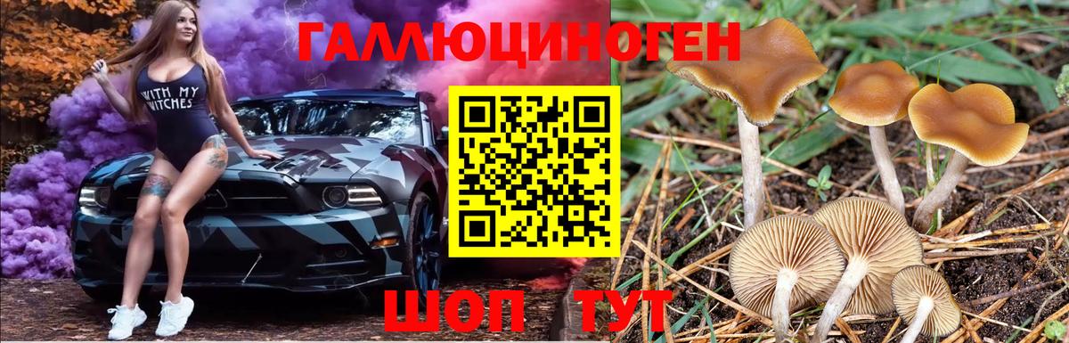 Псилоцибиновые грибы прущие грибы Клин